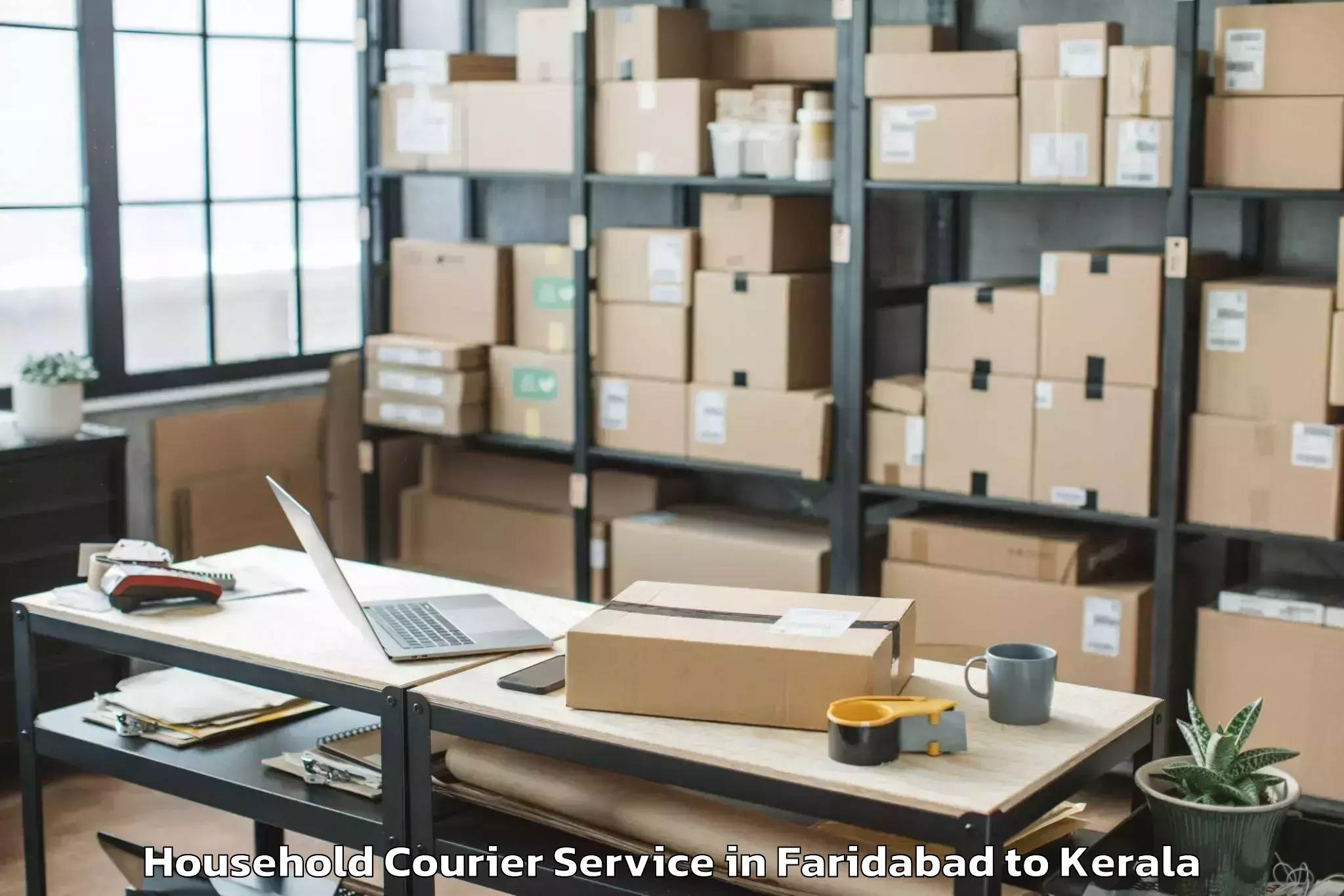 Top Faridabad to Meenachil Household Courier Available